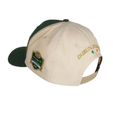 The College Football Ireland Store’s Click & Collect Joint Team Cap is beige and green with DUBLIN IRELAND, three stars embroidered on the back, a 2023 Aer Lingus College Football Classic patch on the side, and is shown on a white mannequin head.