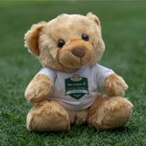 A plush teddy bear from the College Football Ireland Store sits on green grass, wearing a white T-shirt with the College Football 2022 logo.